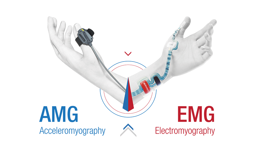AMG-&-EMG-Sensors 900×539