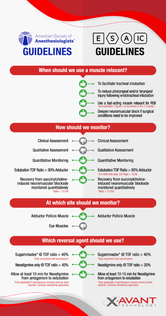 Guidelines Infographic 07